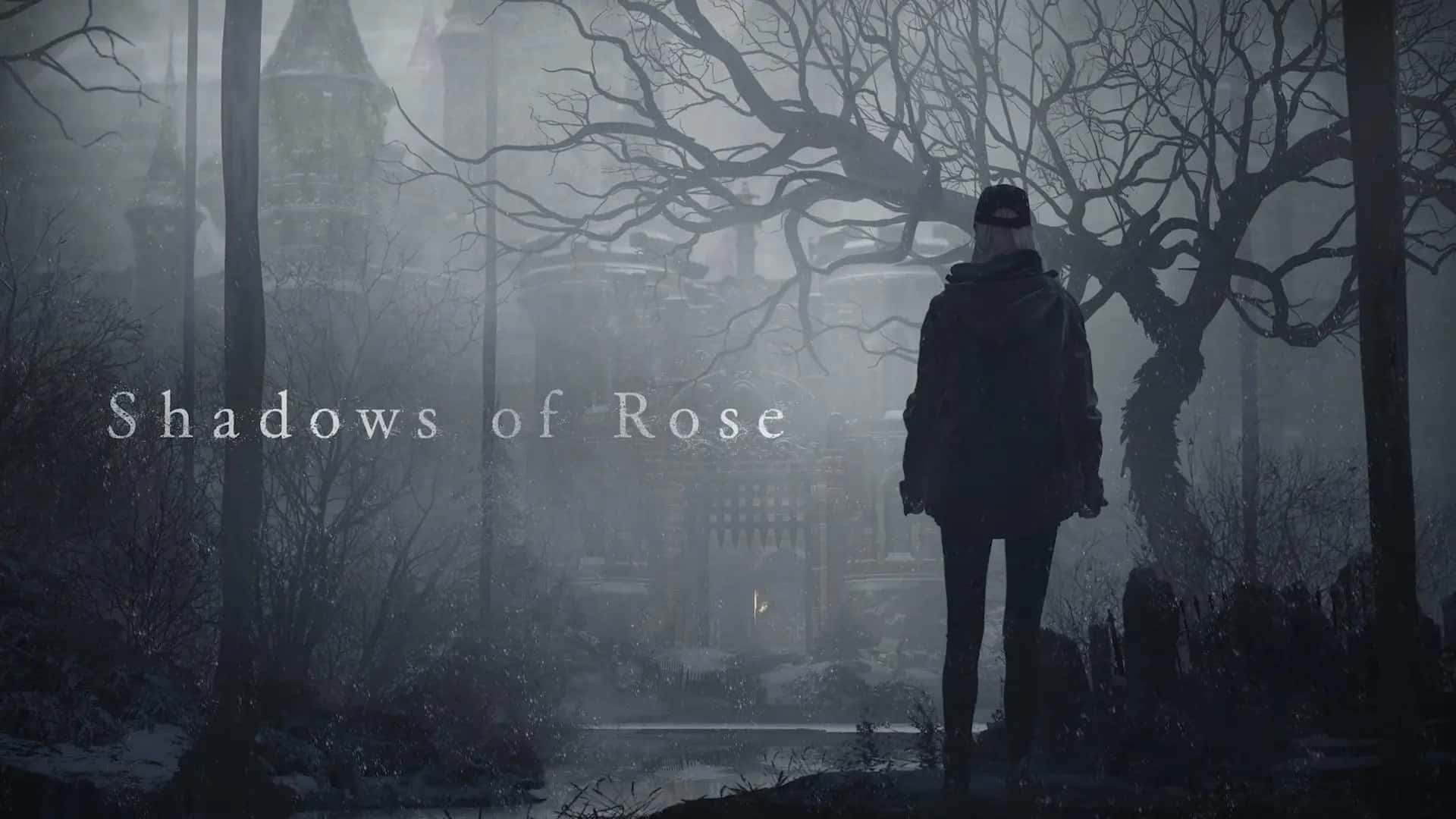 shadow of rose