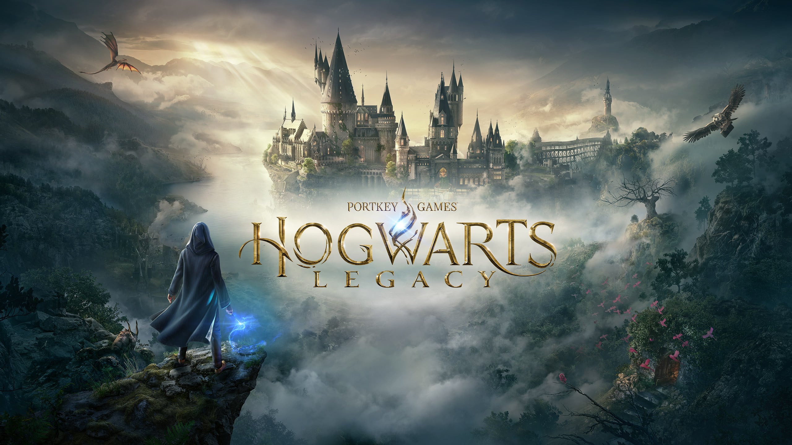 modalità grafiche di hogwarts legacy