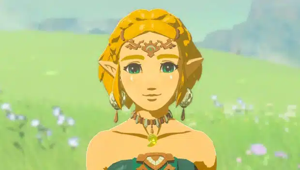 The Legend of Zelda Tears of the Kingdom sequel