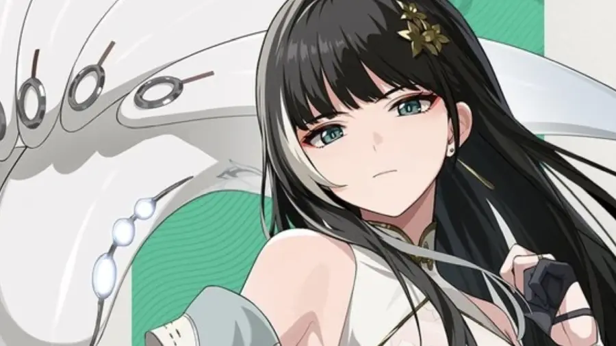 tier list dei migliori personaggi in wuthering waves, tier A Baizhi build