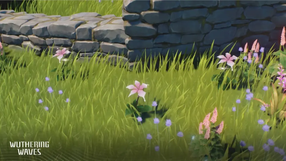 dove trovare i fiori pecok in wuthering waves, mappa e location pecok flowers