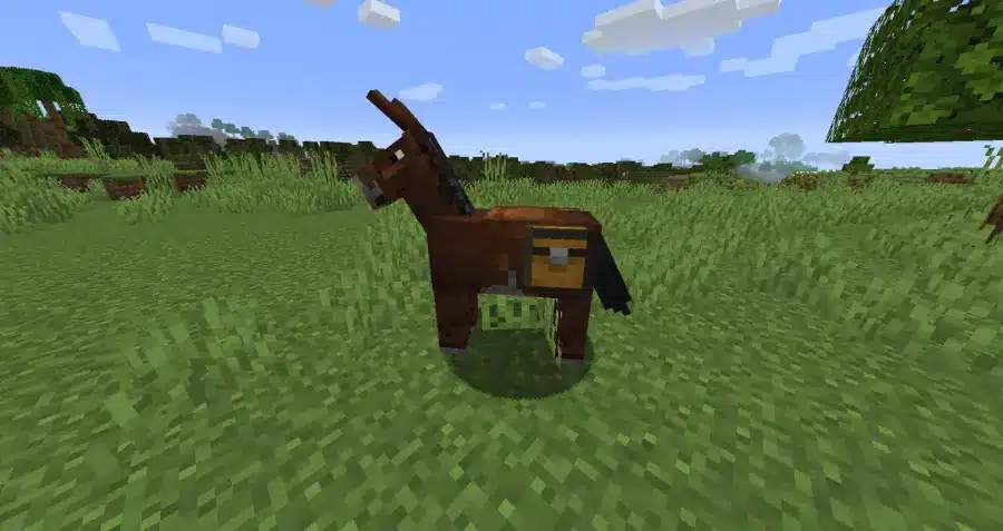 Come addomesticare un cavallo su Minecraft e dove trovare la sella per domare il cavallo e controllarlo