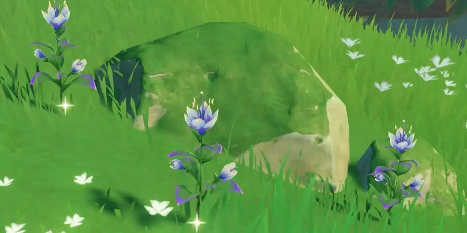 Dove trovare i fiori di Padisarah in Genshin Impact, mappa e location