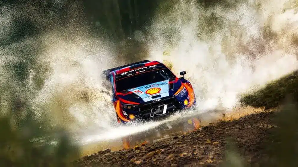 contenuti di EA Sports WRC per il 2024