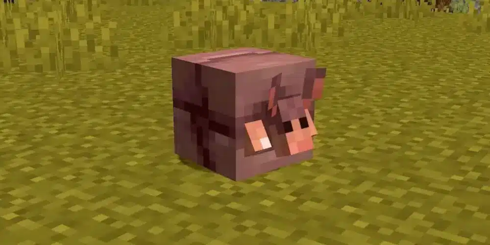Cosa mangiano gli armadilli su Minecraft