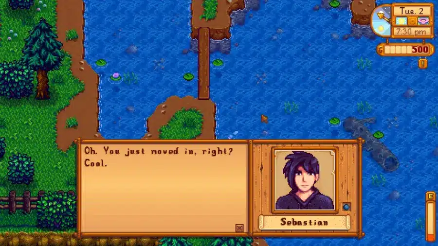 Cosa piace a Sebastian di Stardew Valley, guida ai doni e regali graditi