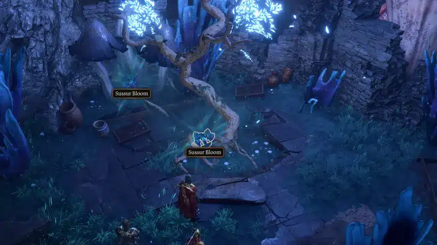 Come riparare l'ascensore nella Torre Arcana di Baldur's Gate 3 con i fiori di sussur location