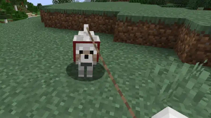 lista animali selvatici per usare il guinzaglio in minecraft