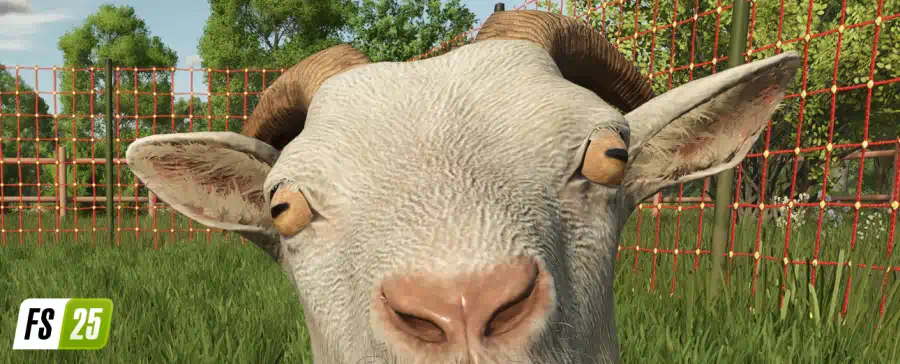 Farming Simulator 25