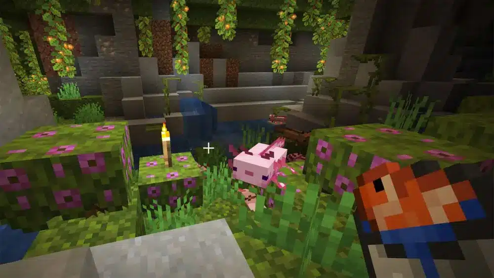 Cosa mangiano gli axolotl su Minecraft guida