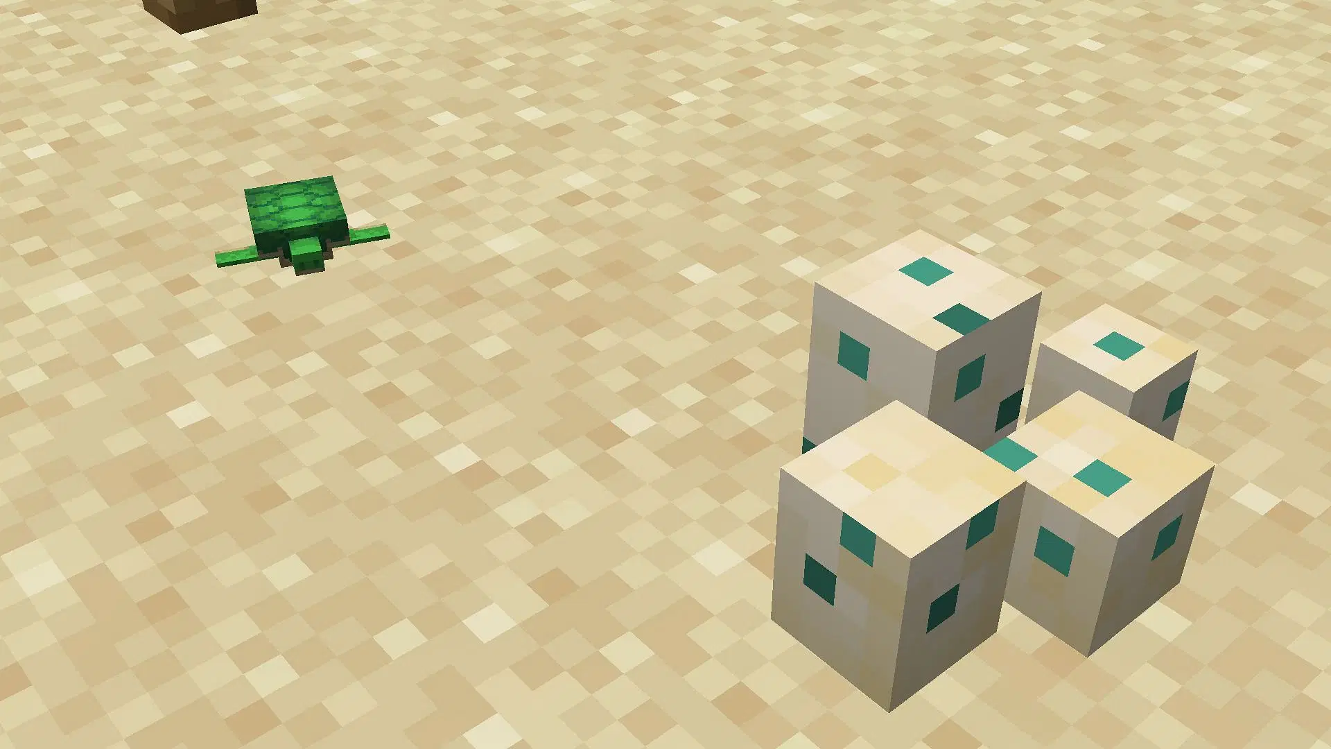 Minecraft, quanto ci mettono le uova di tartaruga a schiudersi guida