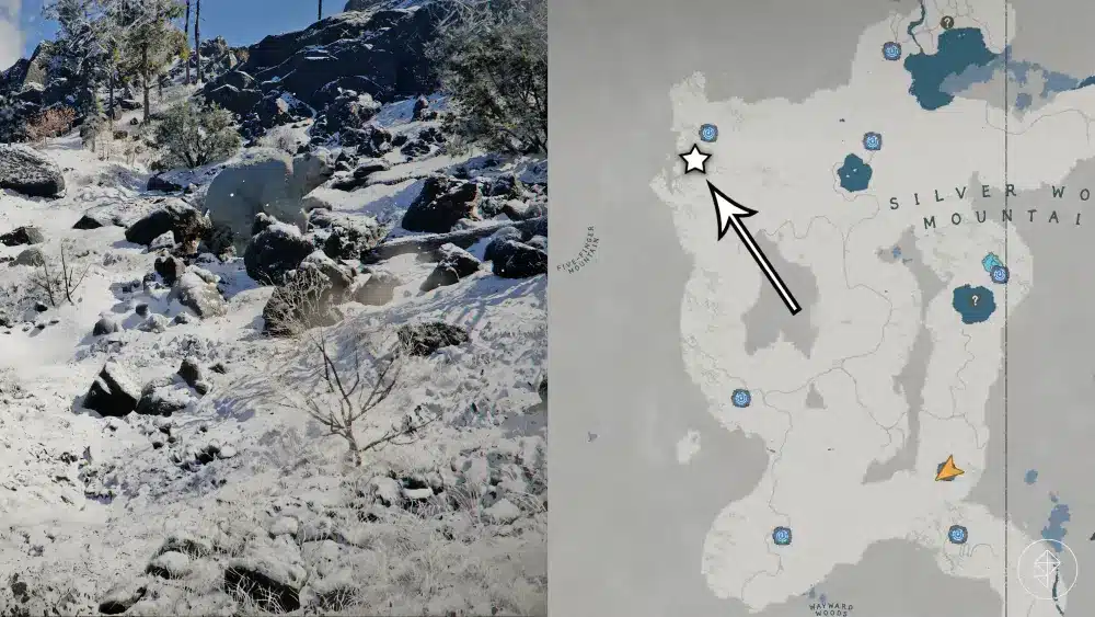 Location boss orso bianco crimson desert